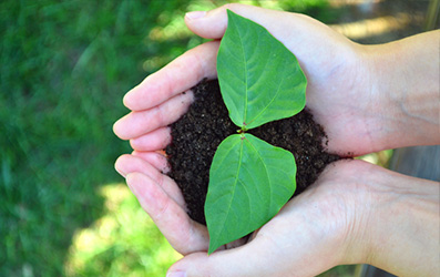 ylg060net永利娱高(中国)股份有限公司官网