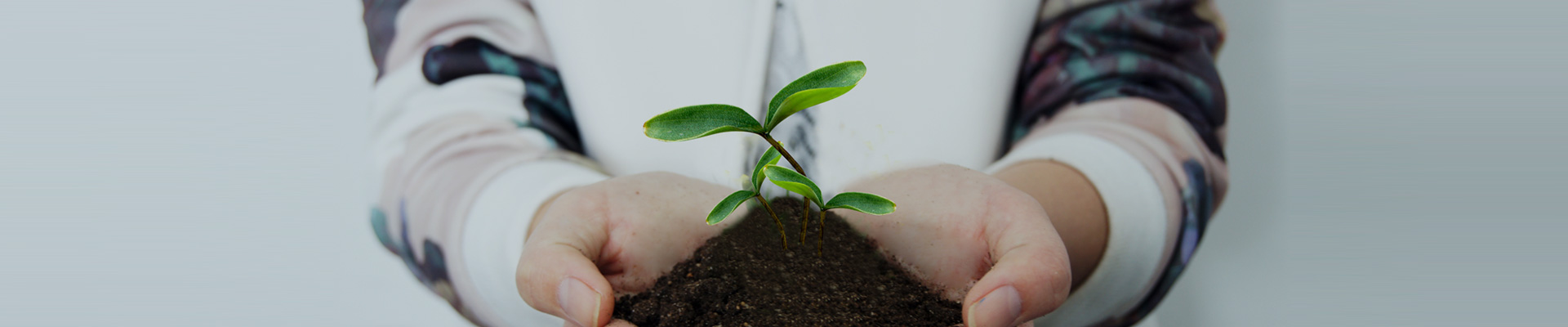 关于ylg060net永利娱高